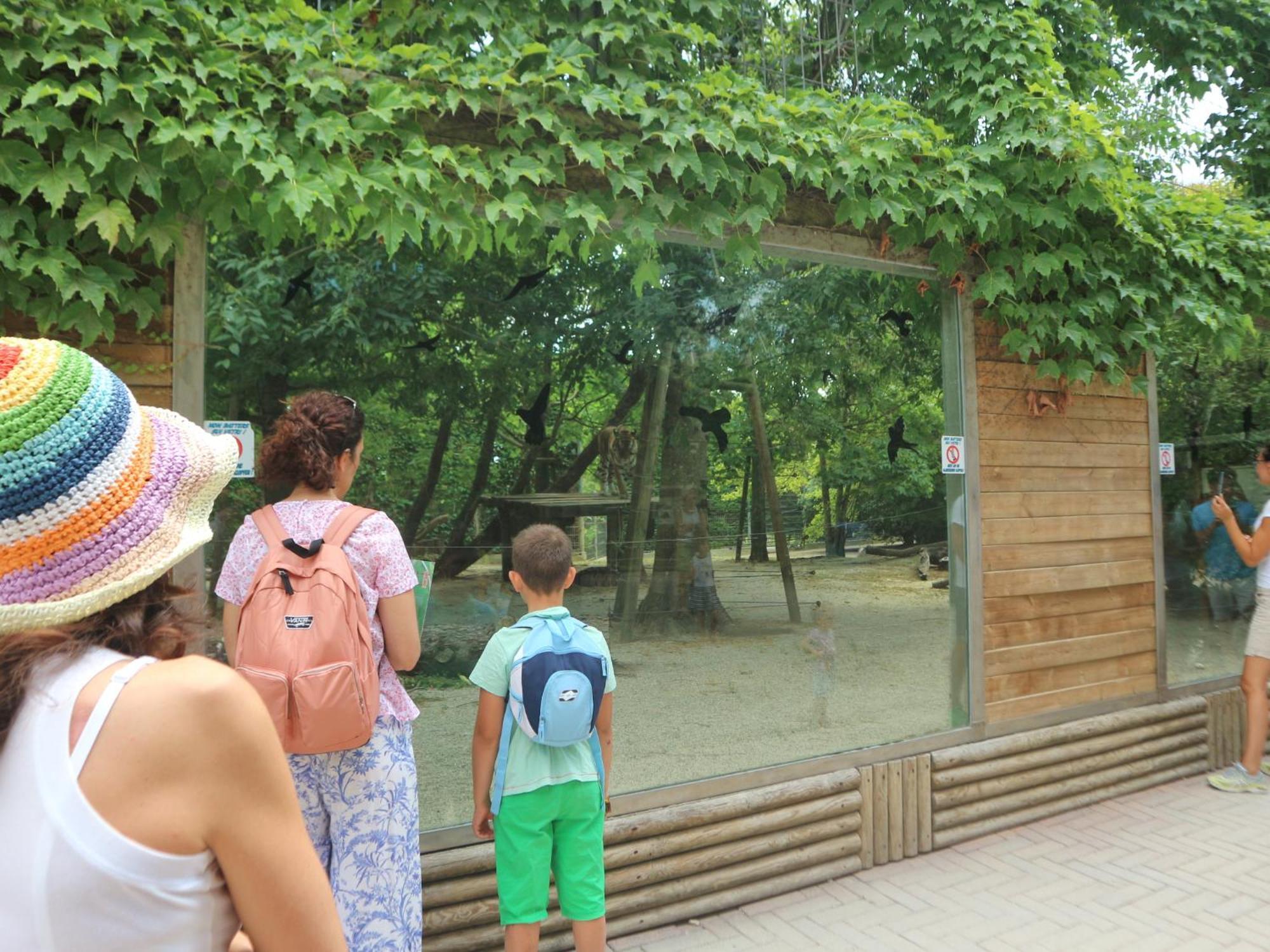 Apartament Letizia Lignano Sabbiadoro Zewnętrze zdjęcie